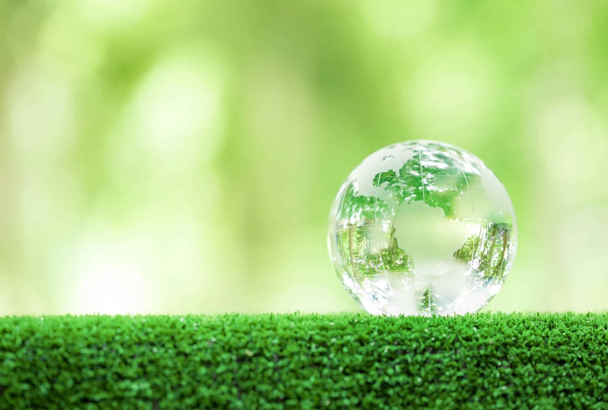 Energiekrise und die Bedeutung erneuerbarer Ressourcen
